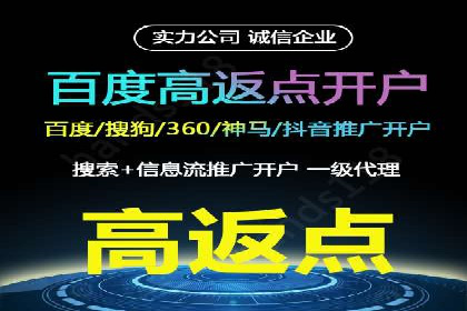 如何利用百度竞价代理：真实案例分析